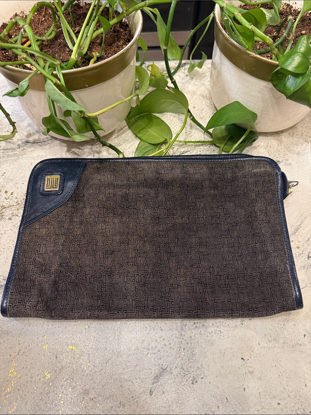 Lanvin Brown and Black Canvas Zip Toiletry Pouch